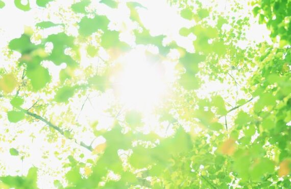 倉庫業の許可申請でお困りでしたらご相談から承ります｜ホースシュー行政書士事務所は岡山市で手続きなどを手助け